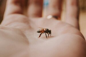 eduardo-gorghetto-1m3QpFT2e2U-unsplash
